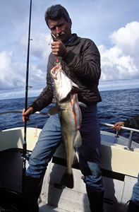 Anders Stavland / Fjord Norway